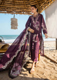 DAHLIA-B - Saira Shakira