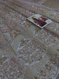 Faiza Saqlain Inspired Blush Embellished Bridal Maxi with Dupatta