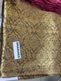 Maria B Zuhaal | Premium Tissue Zarri Embroidered Sharara with Masoori Dupatta