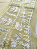 Elan Léonore (EP-21218) – Luxury Organza Suit with Zardozi Embroidery