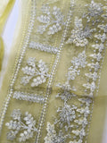 Elan Léonore (EP-21218) – Luxury Organza Suit with Zardozi Embroidery